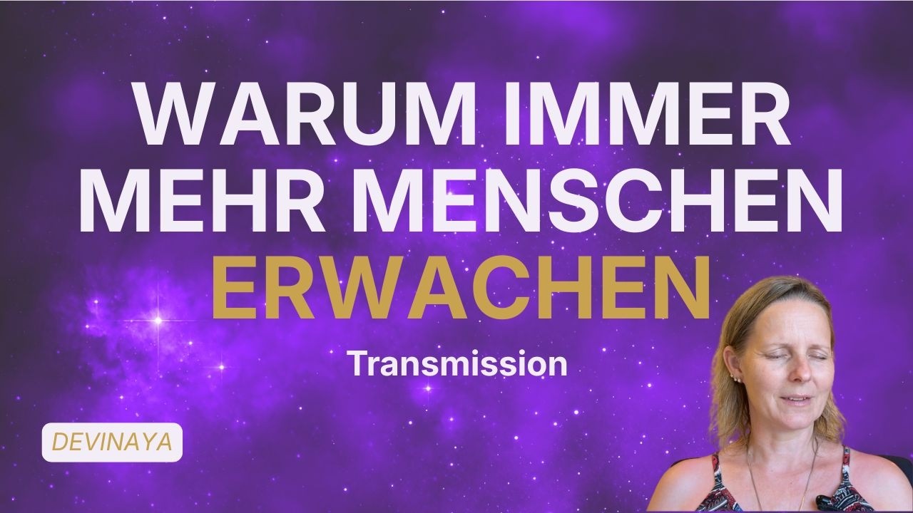 Videovorschau: Niemand muss überzeugt werden | Transmissions von Devinaya